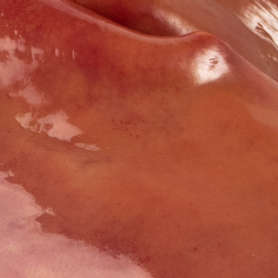 HOSPHATIDYLSERINE | 420mg per serving